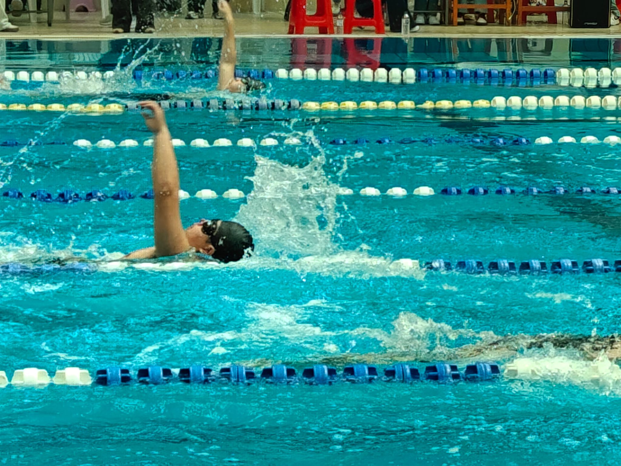 1702023408155751.jpg 1702023408155751.jpg