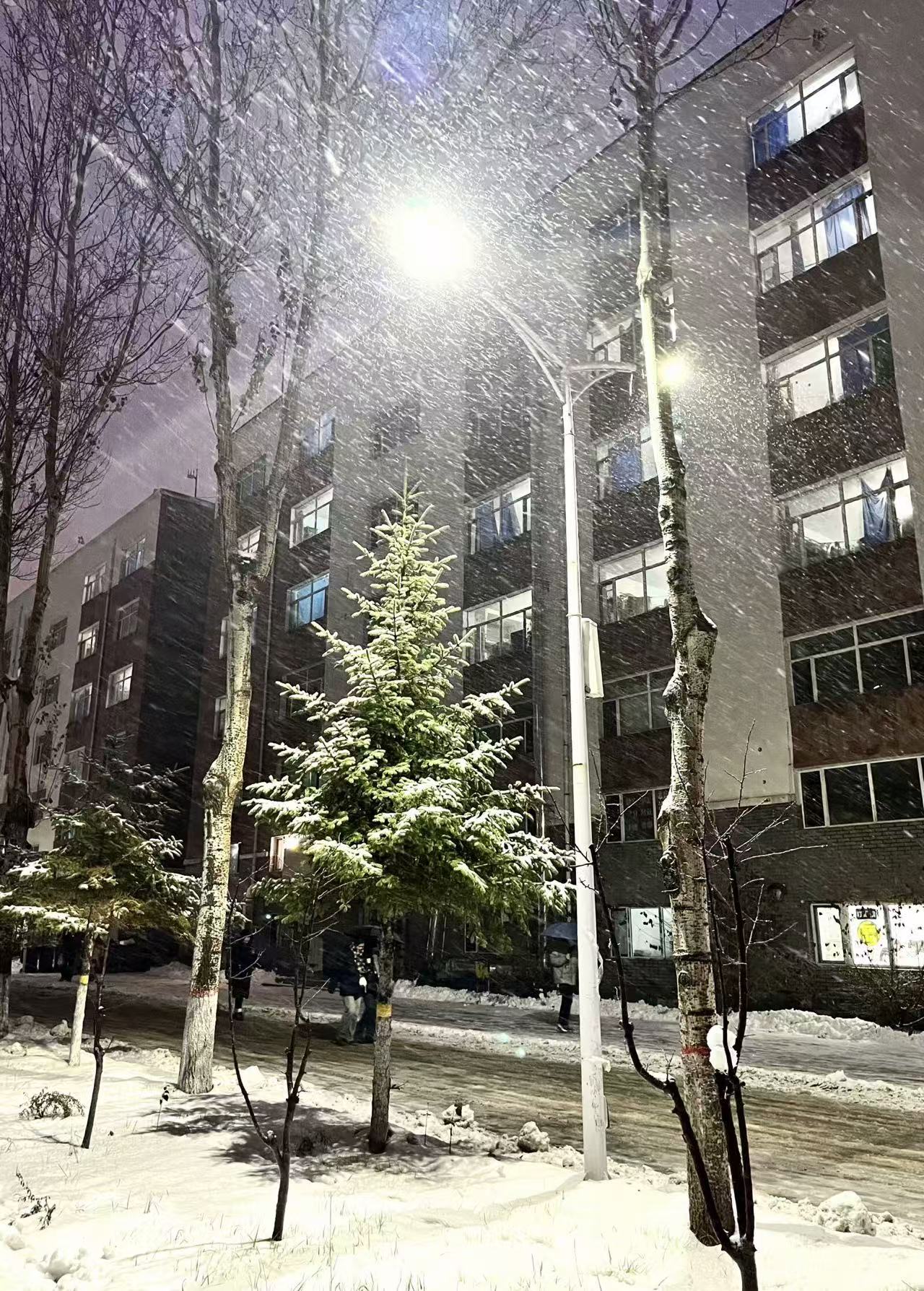 1734747339965067.jpg 微信图片_20241221101510.jpg