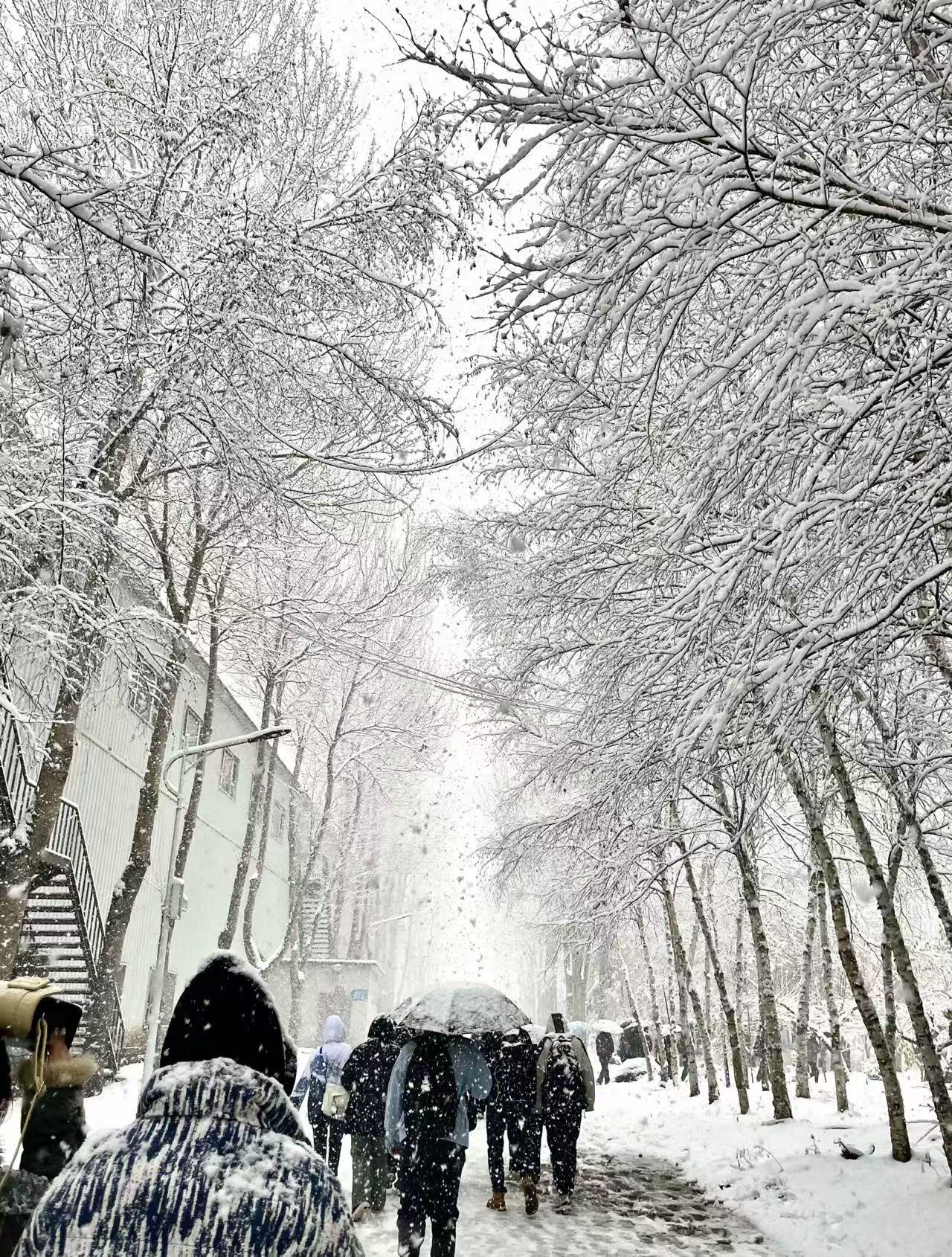 1734747419576381.jpg 微信图片_20241221101514.jpg