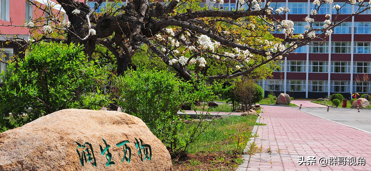 民办高等教育——东华教育集团旗下3所大学,分布吉林,安徽