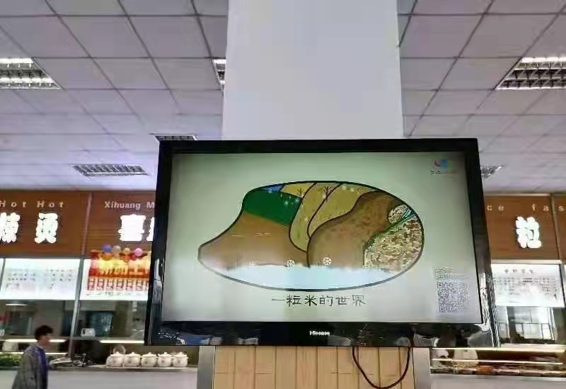 长春科技学院“舌尖节俭”金点子频出